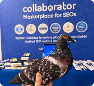 Талисман-голубь сидит на брошюрах Collaborator у стенда на Croatia SEO Summit.